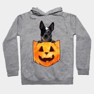 Blue Heeler Dog In Pumpkin Pocket Halloween Hoodie